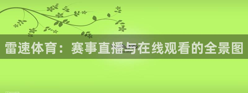 杏悦23官网