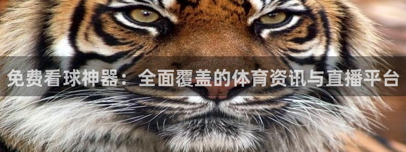 杏悦2平台登录