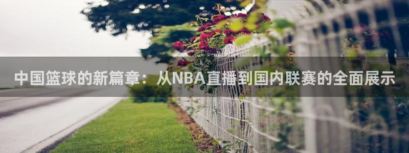 杏悦2体育热门赛事有哪些